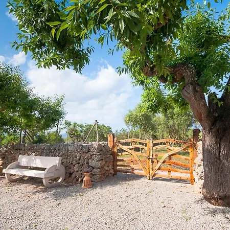 Rosonseta - Can Picafort * Can Picafort (Mallorca)